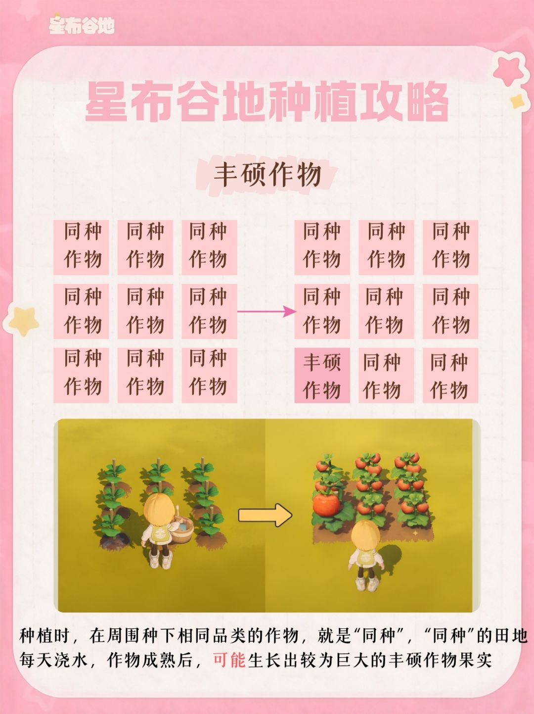 星布谷地特殊作物及异色花种植攻略 1