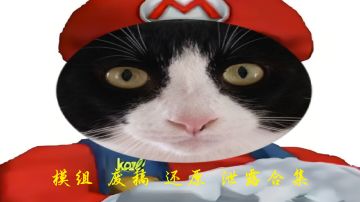 模组还原泄露合集