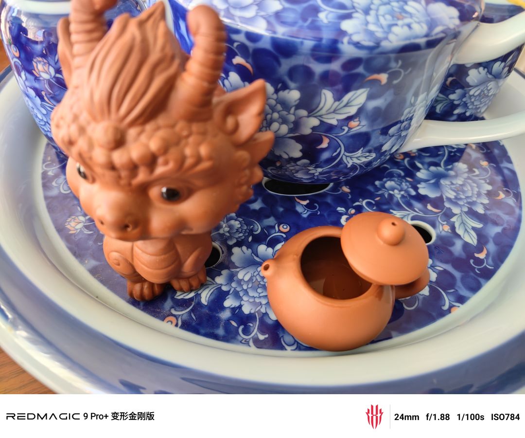 看到驯鹿 4