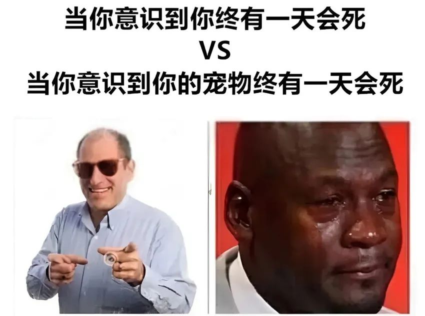 ✨今日份梗图分享第四十七期✨ 1