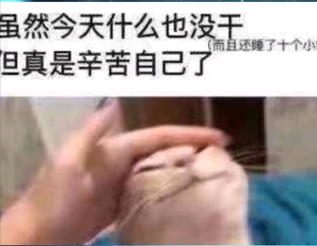 动态图片 9