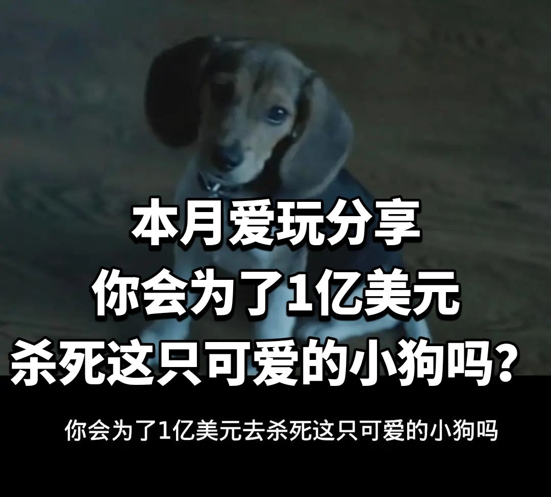 你会为了1亿美元去杀死这只可爱的小狗吗? 1