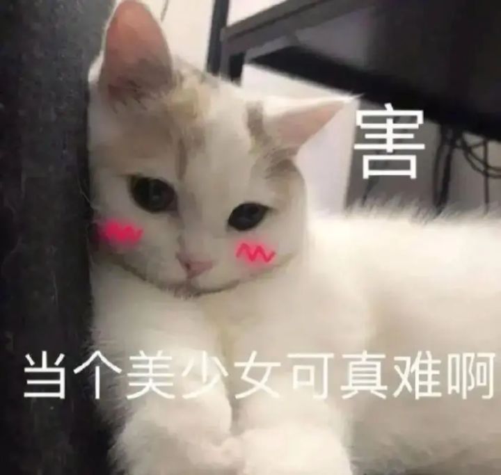 休闲游戏，不知道氪度和肝度如何截图