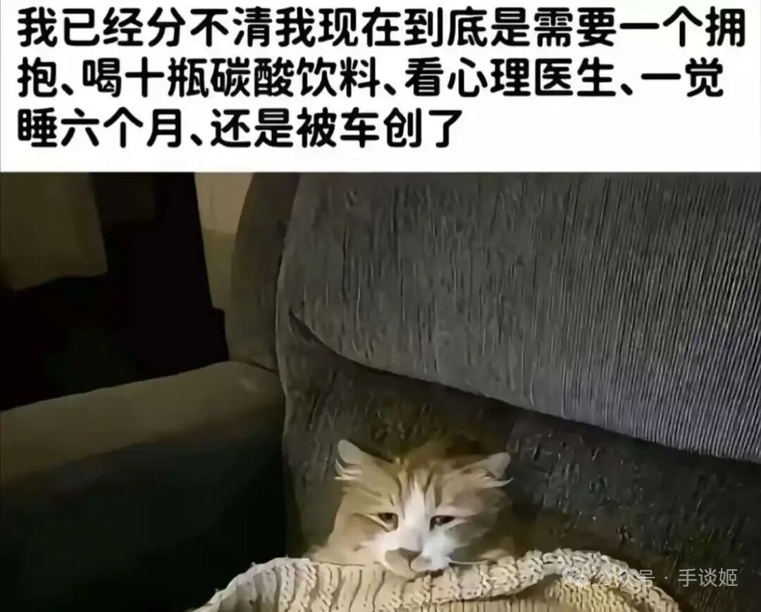 帮下谢了 1