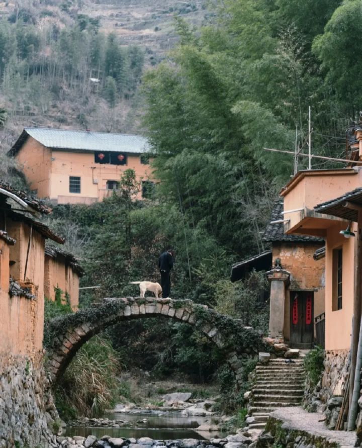松阳截图