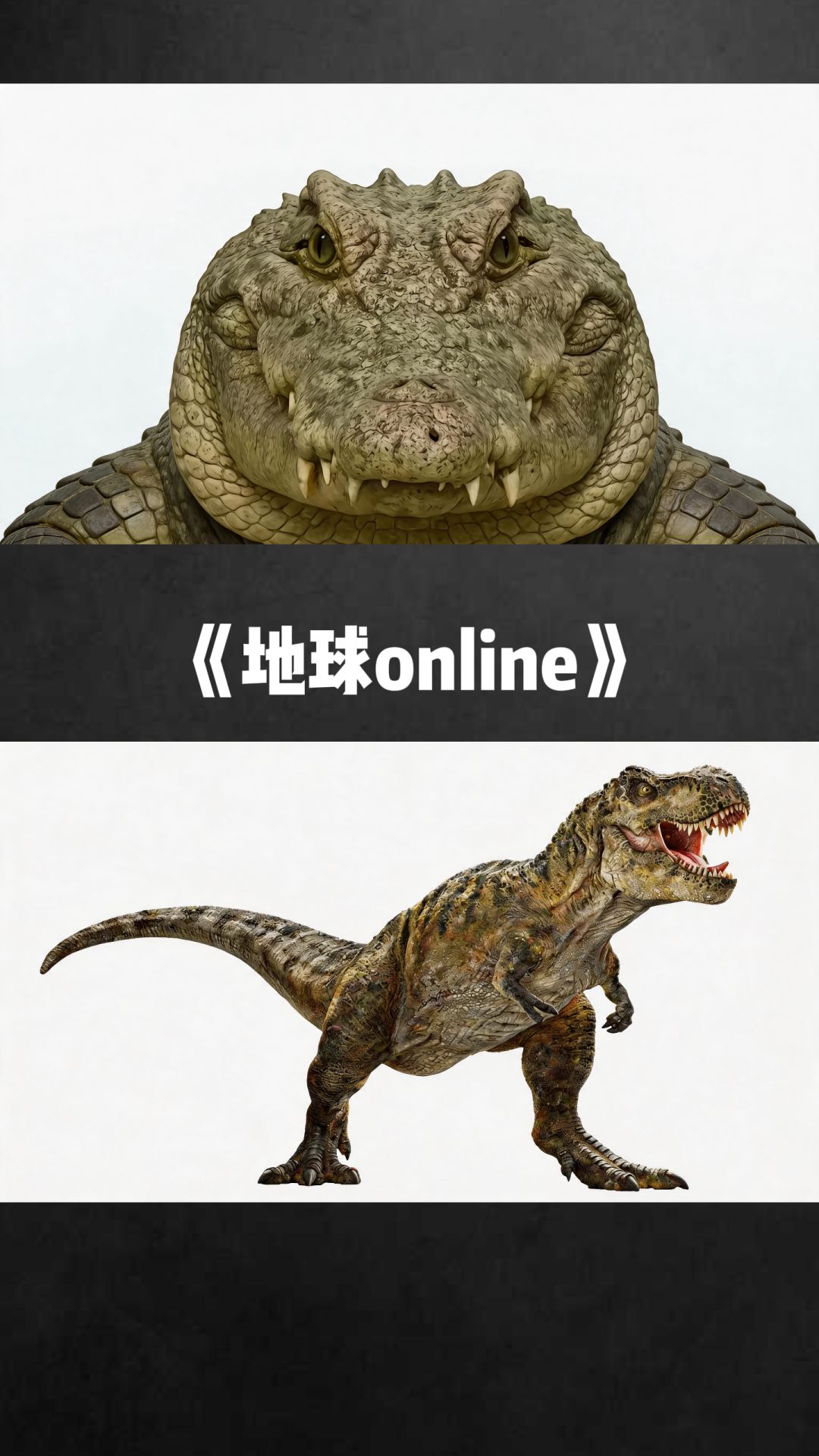 玩游戏时你喜欢操作还是数值? 6