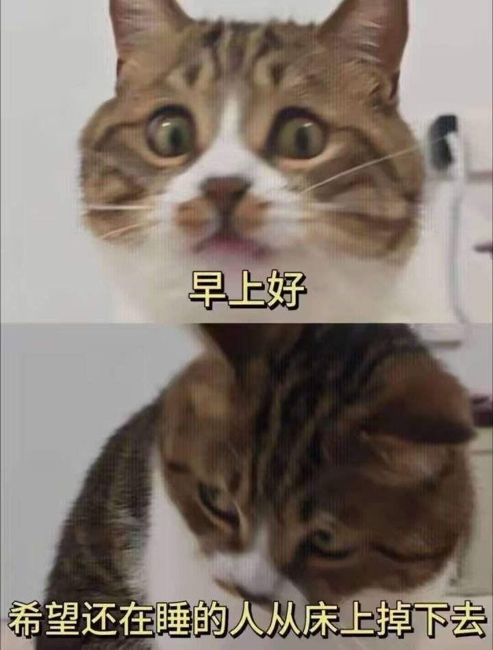 没有意义的标题截图