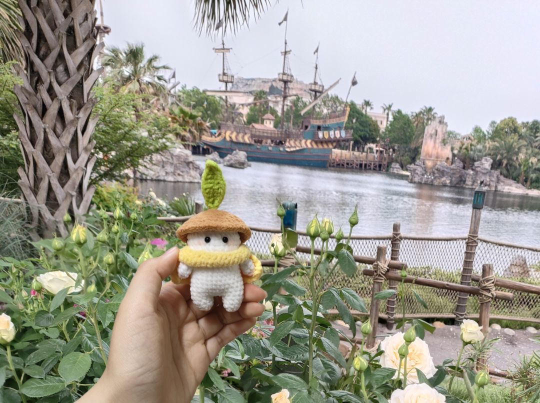 海盗萝!是巨大萝小花和超小萝福来哈哈! 1