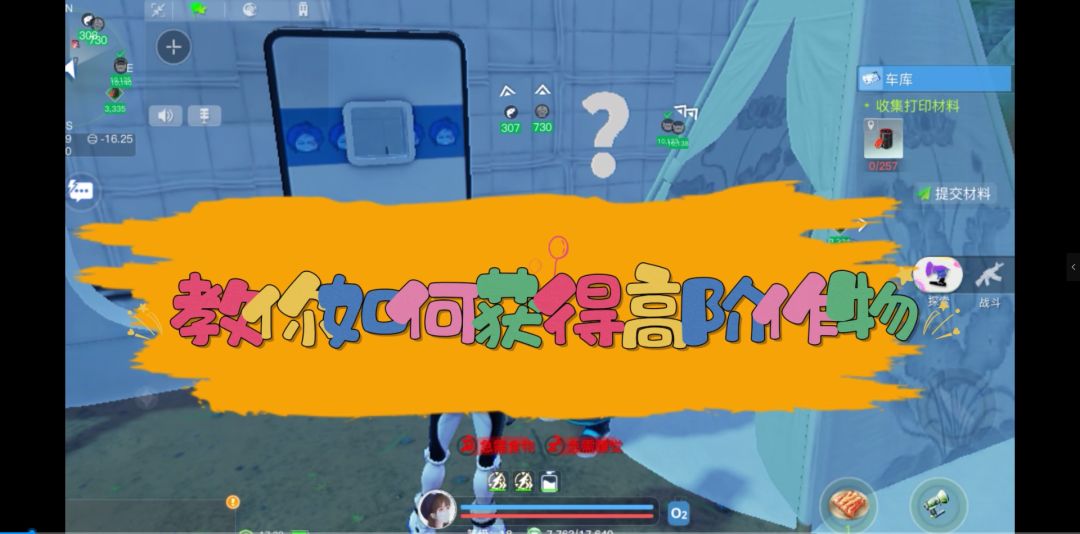 video-3804015