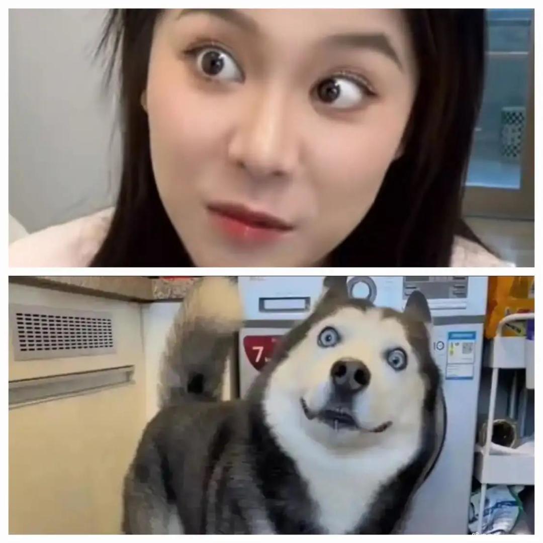 元素的装备怎么搞 1
