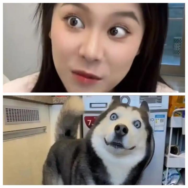 元素的装备怎么搞截图