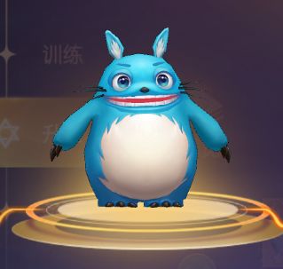 宠物图鉴丨蓝墩墩的详细介绍+图鉴欣赏