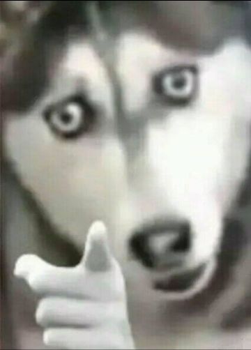 好友系统，好友排行，聊天频道。