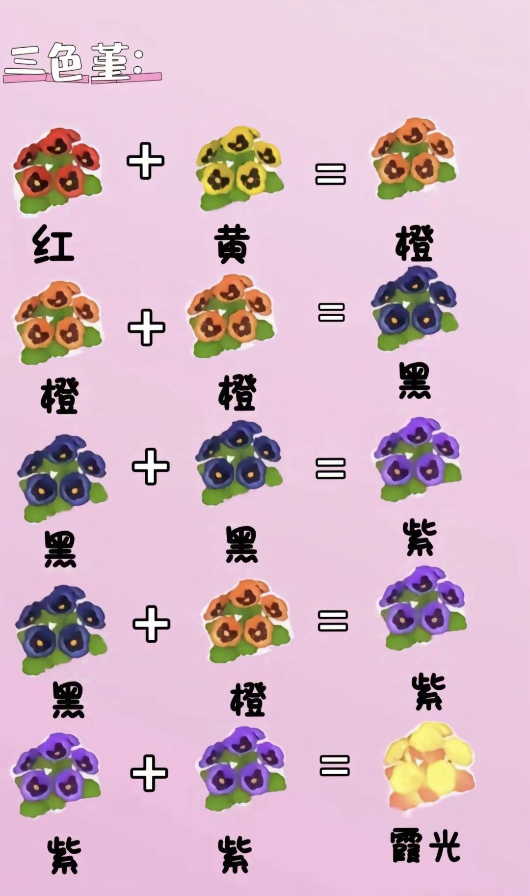 心动小镇花卉交杂 2