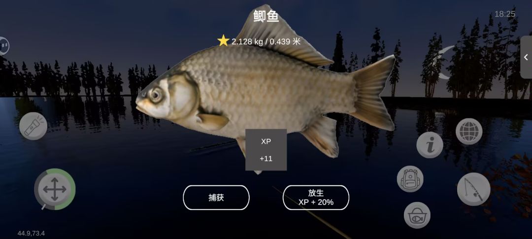 黄星鱼欣赏 1