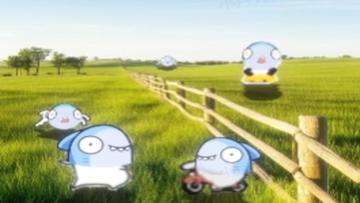 一望无际的大草原上有许多鲨鲨