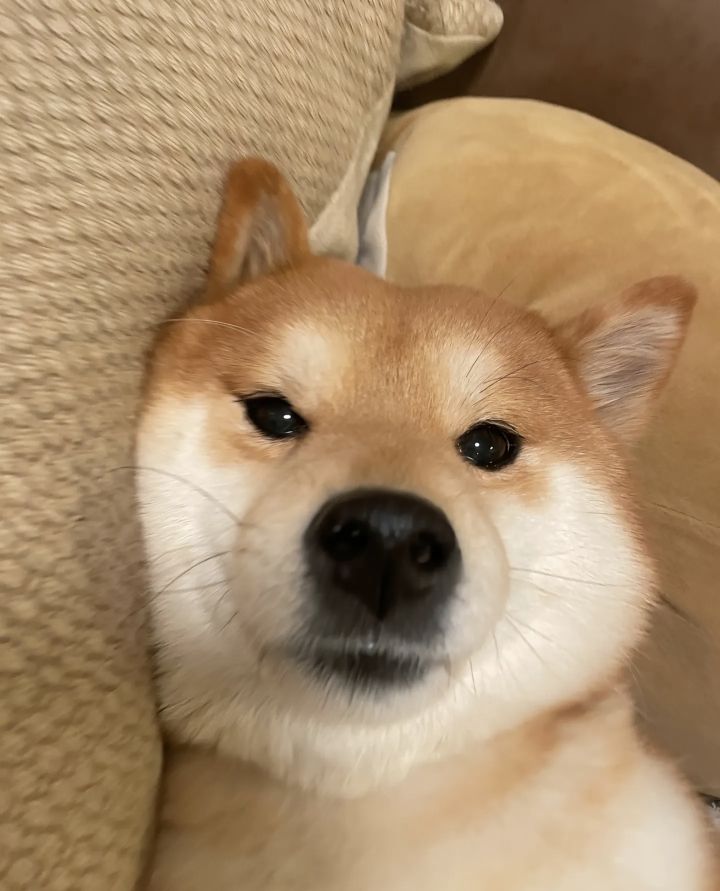 怎么打不完的感觉截图