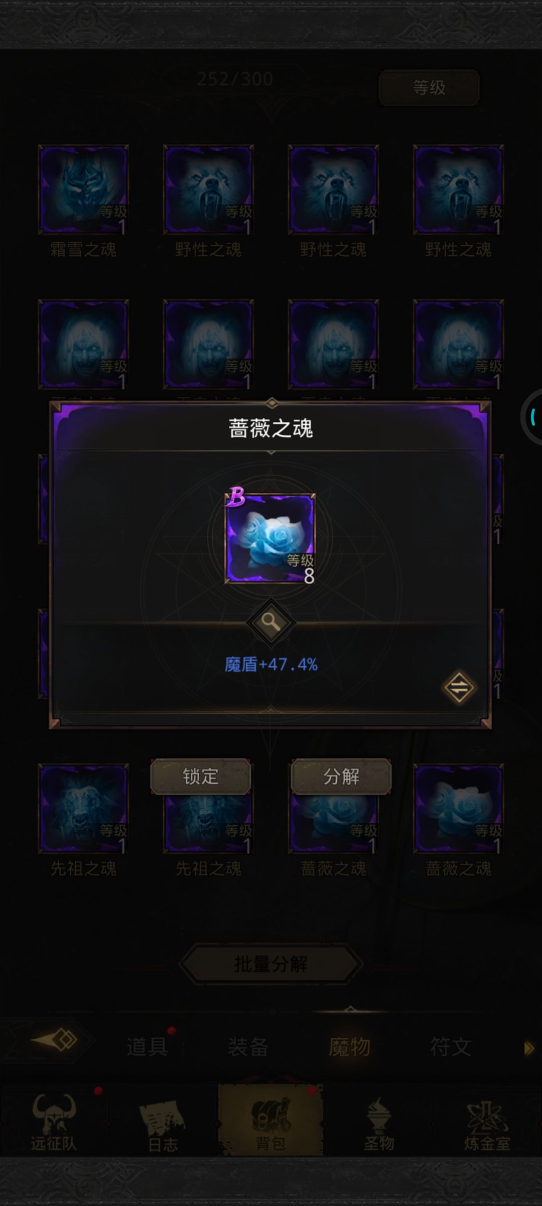 顶级蔷薇 1