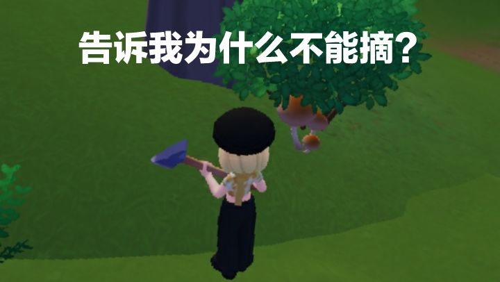 懂一个云南人对于它的含金量吗? 2