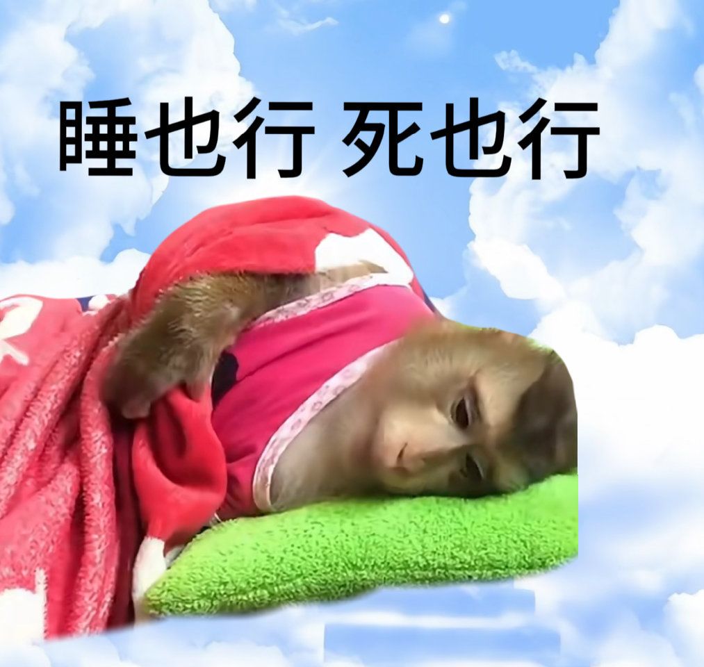 被老鼠贴粘住了😥 4