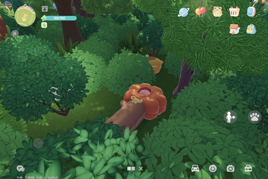 森林小居 4