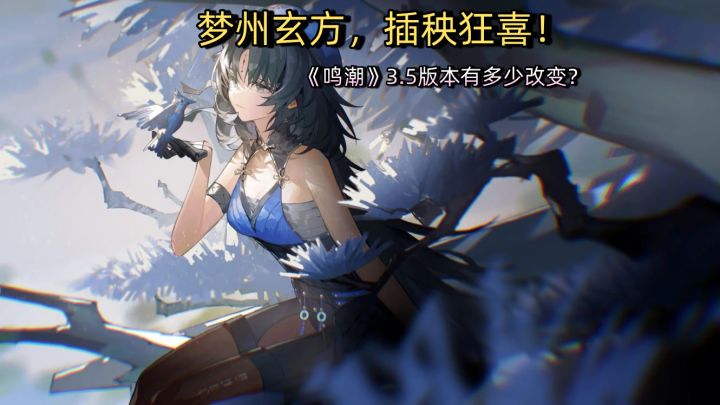 梦州玄方，插秧狂喜！《鸣潮》3.5版本带来了多少的改变？截图