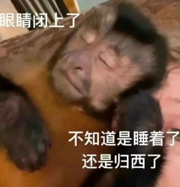 提高或取消小组成员人数限制和说话字数限制截图