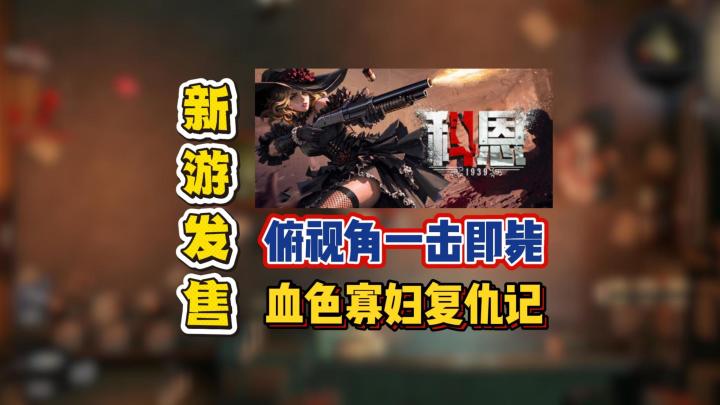 俯视角一击即毙,血色寡妇复仇记截图