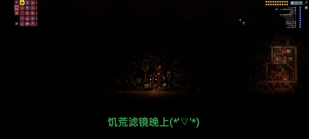 泰拉瑞亚建筑 小树林 3