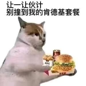 提问截图