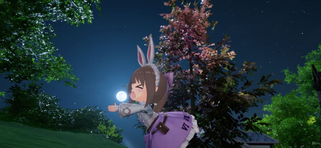 来赏樱花叭 2