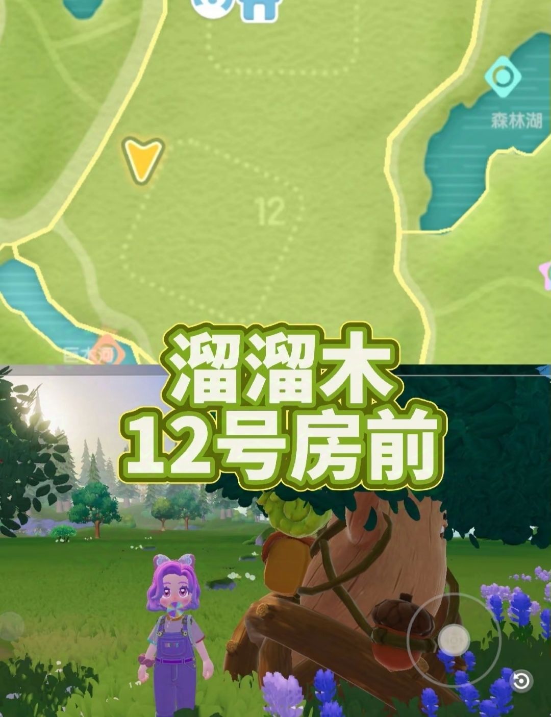 [11月17日]今天日常 3