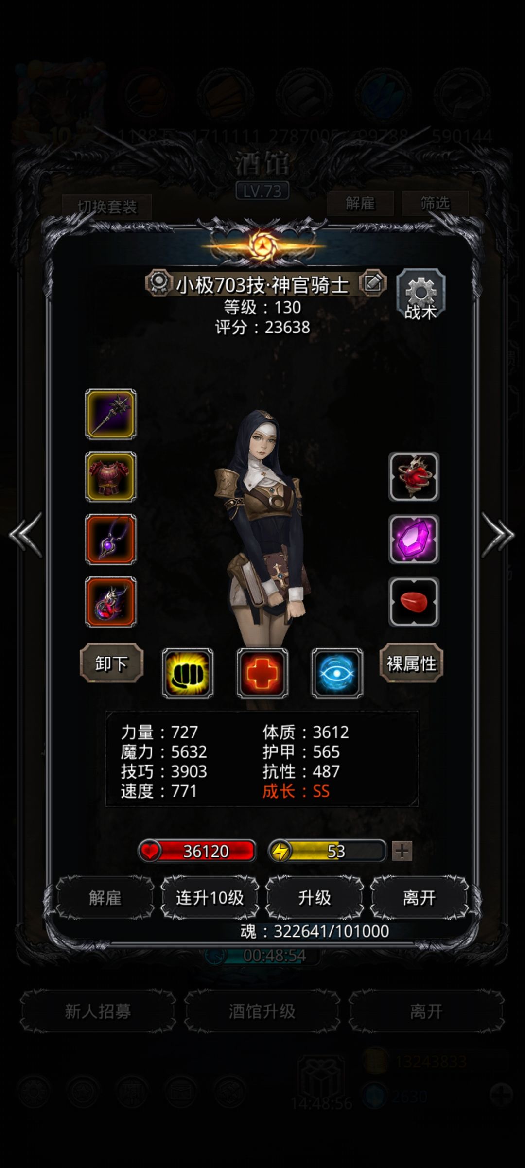 强啊!红圣骑士★! 5