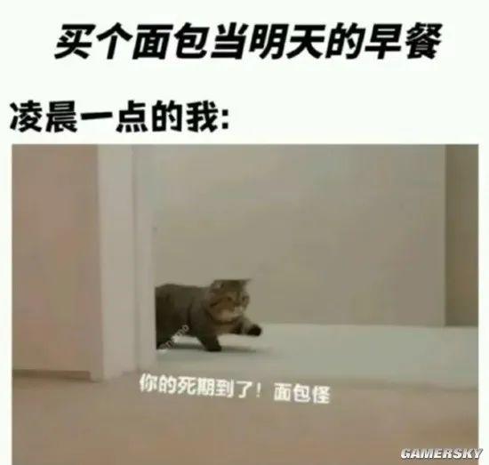 动态图片 9