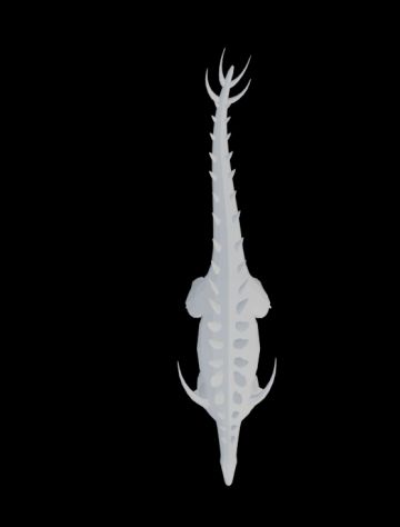 新恐龙：华阳龙