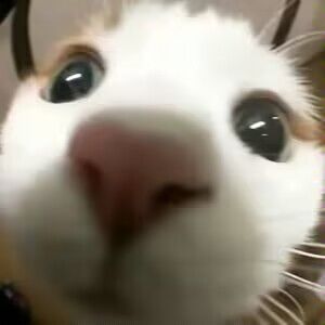 【开发者日志】一个人做游戏-进度管理