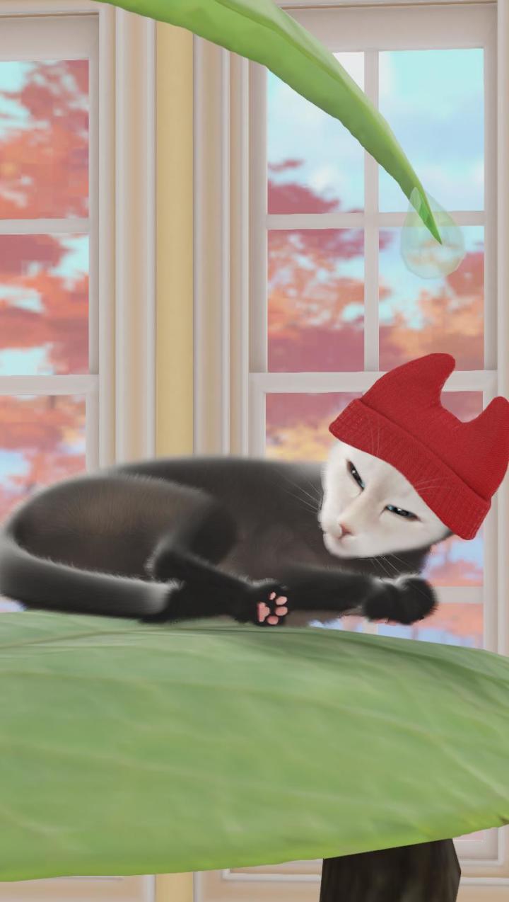 怎么会 有这么 像猴子 的猫咪[表情_捂脸哭][表情_捂脸哭][表情_捂脸哭]截图
