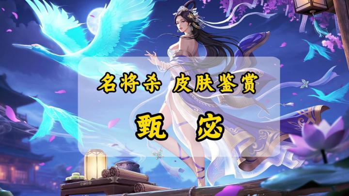 甄宓原画解析，你真的了解甄宓吗？截图