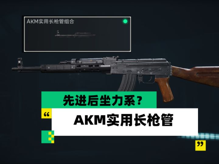 【全面战场】先进后坐力系统还增伤？AKM实用长枪管真的实用么？截图