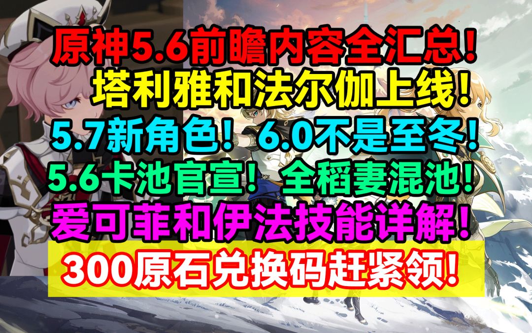 video-4902232
