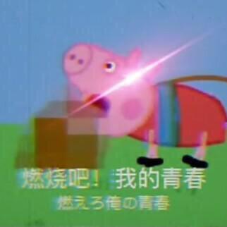 提问截图