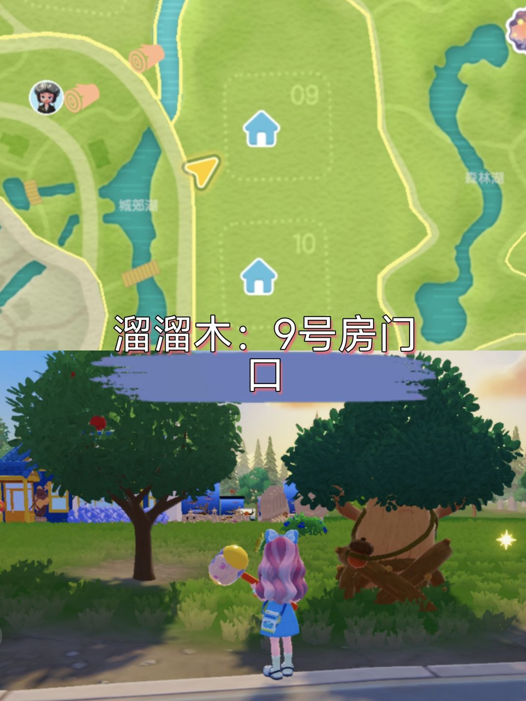 【20240914】今日溜溜木萤石位置 3