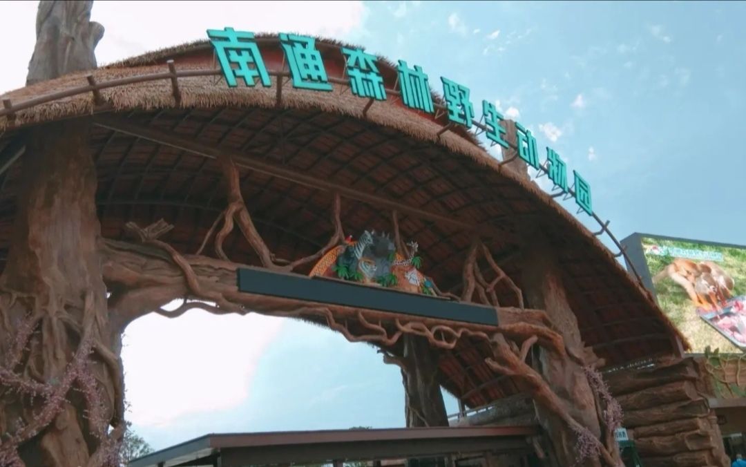 寒食踏青活动4-5 1