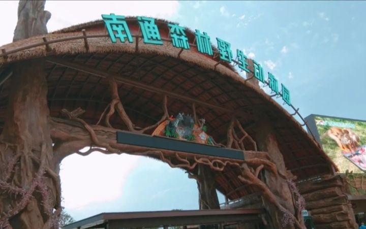 寒食踏青活动4-5截图