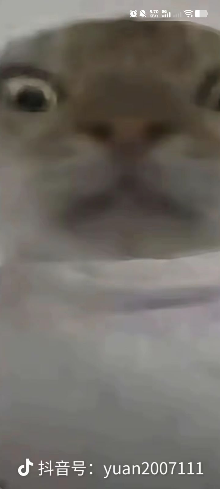 更新更新截图