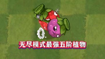 从“鸡肋”到“神卡”，桑葚爆破手1-5阶实测！