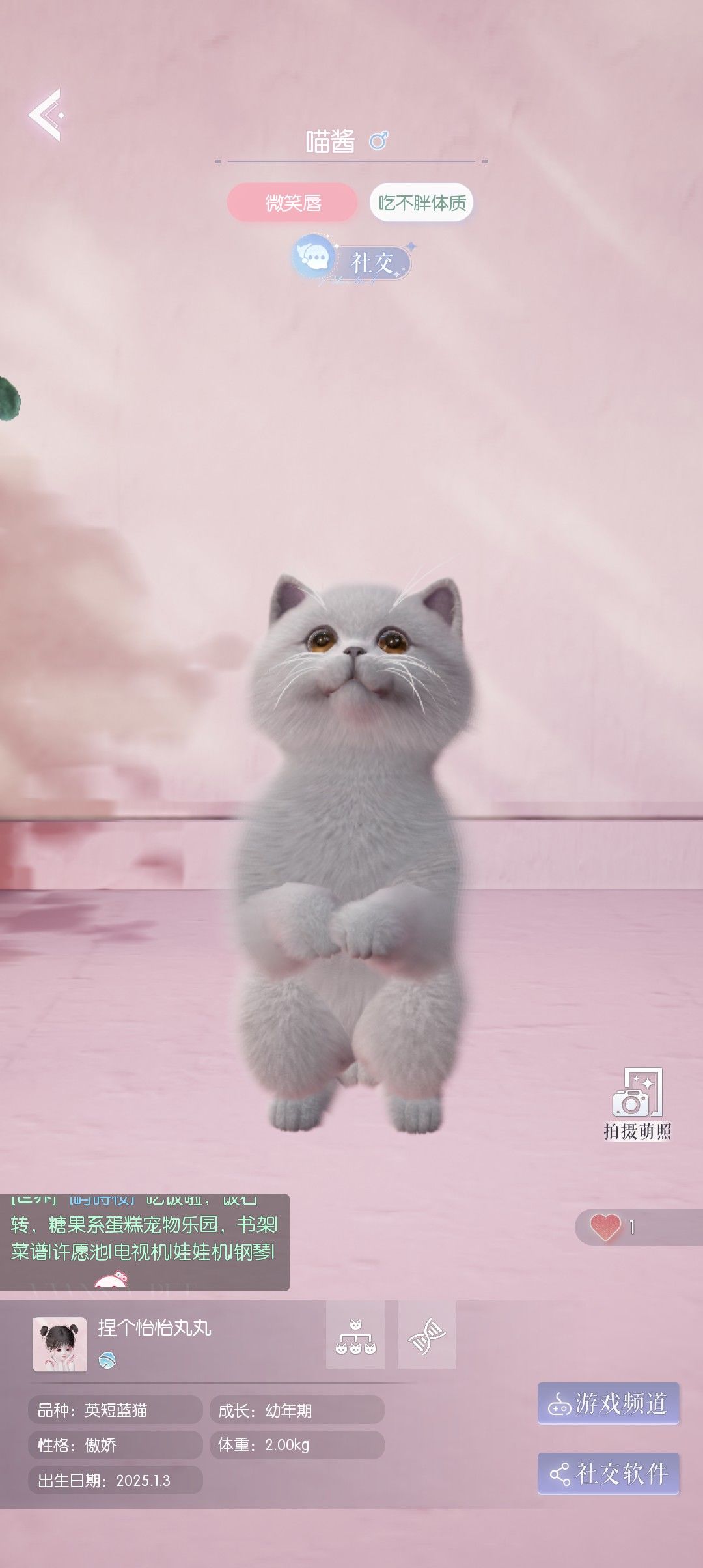 啊啊啊啊 2