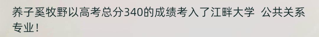 儿子们以及我的成绩 1