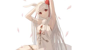 猫游全天冥道具数量位置汇总（更新至外史外传，10.5）