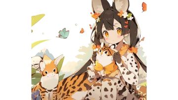 《萌新角色培养规划指南》